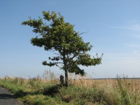 Greenwich Meridian Marker; England; Hertfordshire; Between Buckland & Barkway